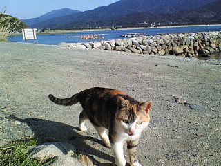 070318-2.jpg