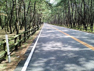 070325-1.jpg