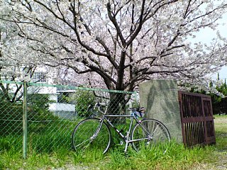 070331-1.jpg