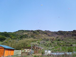 070407-1.jpg