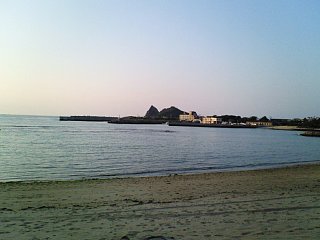 NEC_0083_s.jpg