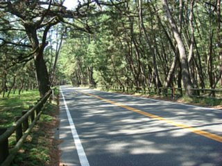 DSC00084_ss.jpg