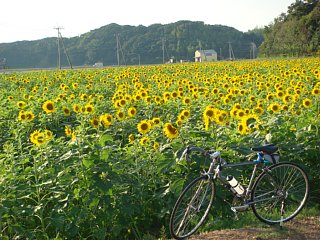 DSC00094_ss.jpg