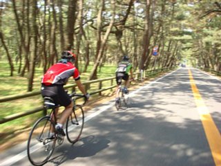 080503-1.jpg