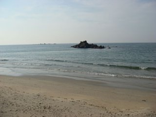 081019-1.jpg