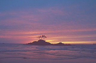 081019-3.jpg