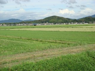 090718-2.jpg