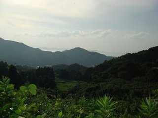 090811-3.jpg