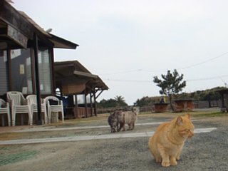100110-1.jpg