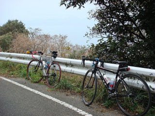 100110-3.jpg