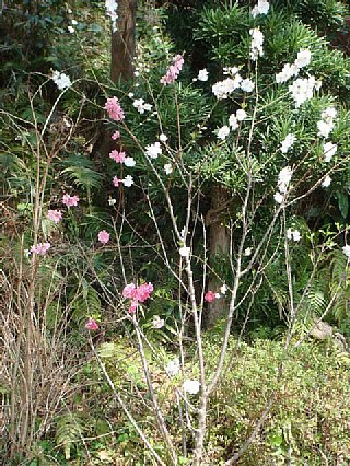 100322-3.jpg