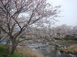 100327-1.jpg