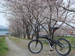 100327-2.jpg