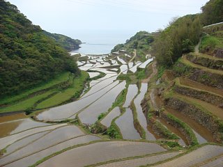 100502-2.jpg