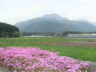 100509-2.jpg